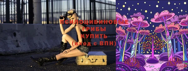 марки lsd Медногорск
