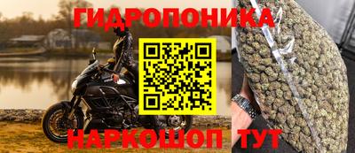 стаф Балахна