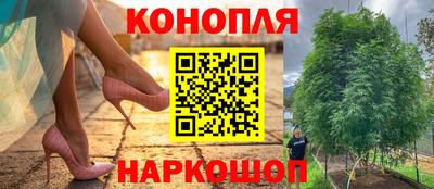 сатива Берёзовский