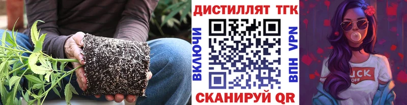 купить наркотик  ОМГ ОМГ сайт  ТГК жижа  это наркотические препараты  Сургут 