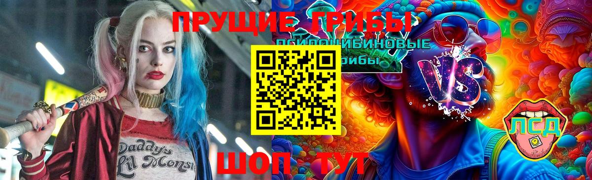 что такое наркотик  Псилоцибиновые грибы Psilocybe  Вход с VPN  Сургут  Псилоцибиновые грибы ЛСД 