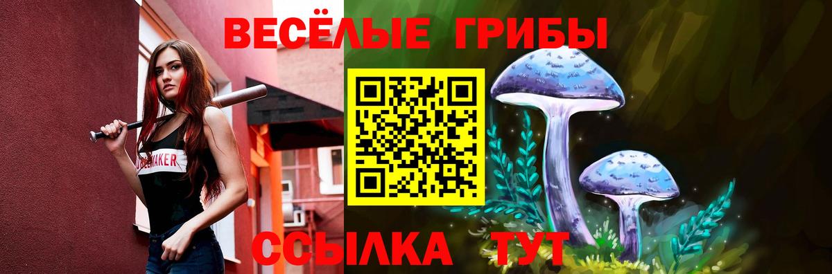 Псилоцибиновые грибы Cubensis  Сургут 